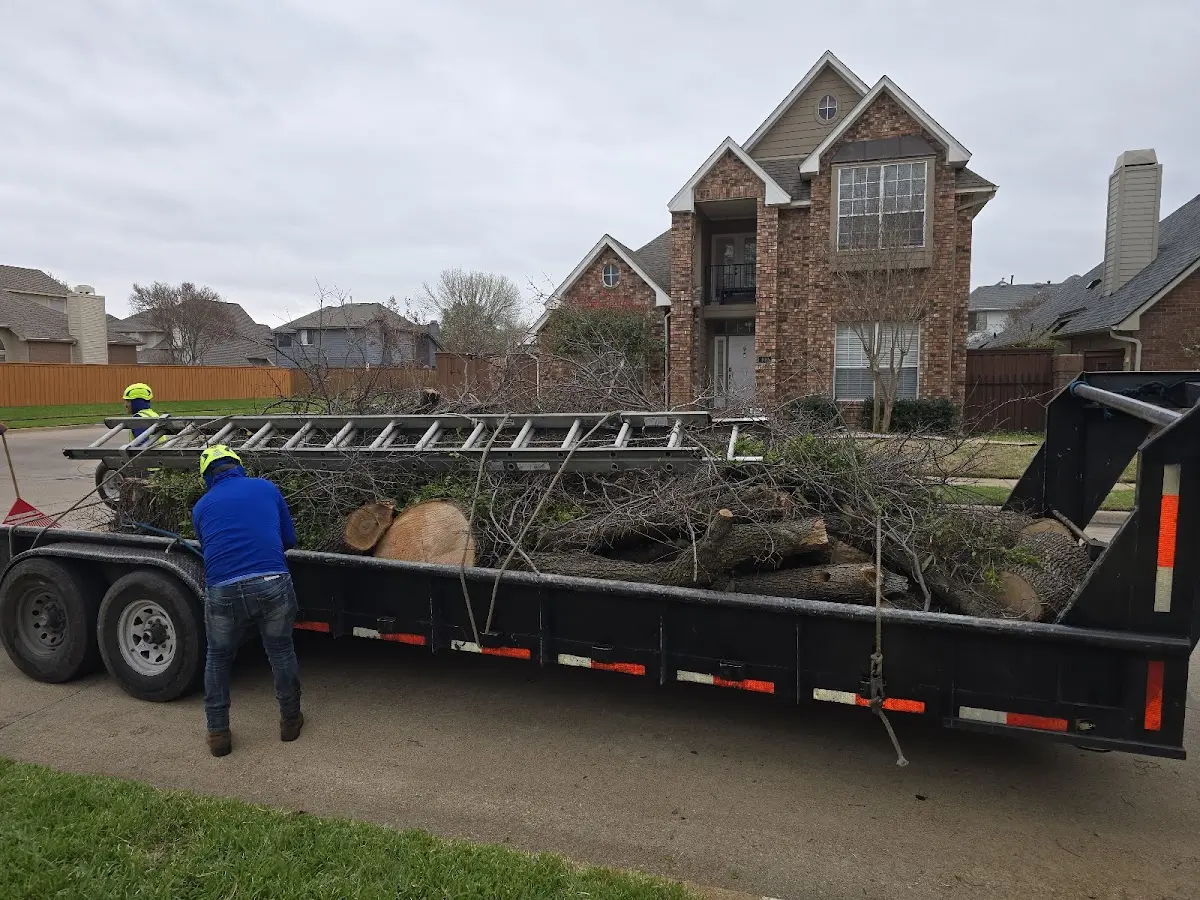 Expert Tree Fertilization with proper safety equipment in North Bend